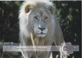 1993 Boomerang Book Club Animals on Safari - Silver #5 White Lion Front