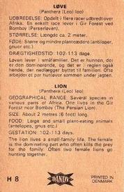 1969 Dandy Gum H Wild Animals (A) (Danish/English) #8 Lion Back