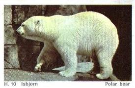1969 Dandy Gum H Wild Animals (A) (Danish/English) #10 Polar Bear Front