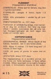1969 Dandy Gum H Wild Animals (A) (Danish/English) #15 Hippopotamus Back