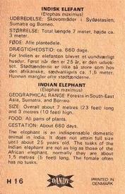 1969 Dandy Gum H Wild Animals (A) (Danish/English) #16 Indian elephant Back