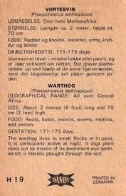 1969 Dandy Gum H Wild Animals (A) (Danish/English) #19 Warthog Back