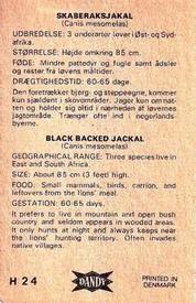 1969 Dandy Gum H Wild Animals (A) (Danish/English) #24 Black-backed jackal Back