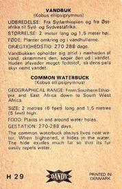 1969 Dandy Gum H Wild Animals (A) (Danish/English) #29 Common waterbuck Back