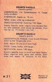 1969 Dandy Gum H Wild Animals (A) (Danish/English) #31 Grant's gazelle Back