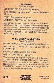 1969 Dandy Gum H Wild Animals (A) (Danish/English) #35 Mofflon Back