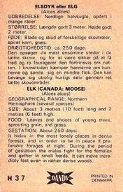 1969 Dandy Gum H Wild Animals (A) (Danish/English) #37 Elk (Canada: Moose) Back