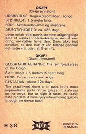1969 Dandy Gum H Wild Animals (A) (Danish/English) #38 Okapi Back
