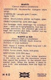 1969 Dandy Gum H Wild Animals (A) (Danish/English) #40 Wapiti Back