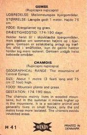 1969 Dandy Gum H Wild Animals (A) (Danish/English) #41 Chamois Back