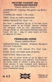 1969 Dandy Gum H Wild Animals (A) (Danish/English) #42 Przewalski horse Back