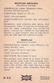 1969 Dandy Gum H Wild Animals (A) (Danish/English) #44 Muntjac Back