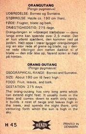 1969 Dandy Gum H Wild Animals (A) (Danish/English) #45 Orang-Outang Back