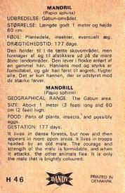 1969 Dandy Gum H Wild Animals (A) (Danish/English) #46 Mandrill Back