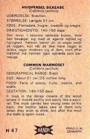 1969 Dandy Gum H Wild Animals (A) (Danish/English) #47 Marmoset Back