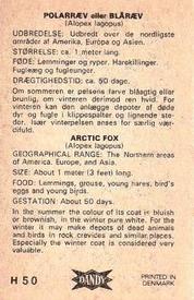 1969 Dandy Gum H Wild Animals (A) (Danish/English) #50 Arctic fox Back