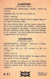 1969 Dandy Gum H Wild Animals (A) (Danish/English) #57 Chameleon Back