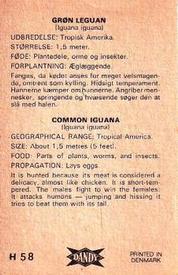 1969 Dandy Gum H Wild Animals (A) (Danish/English) #58 Common Iguana Back