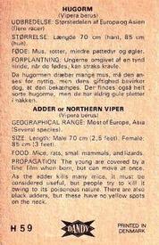 1969 Dandy Gum H Wild Animals (A) (Danish/English) #59 Northern viper Back