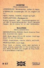 1969 Dandy Gum H Wild Animals (A) (Danish/English) #61 Bullfrog Back