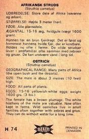 1969 Dandy Gum H Wild Animals (A) (Danish/English) #74 Ostrich Back