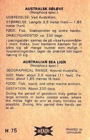 1969 Dandy Gum H Wild Animals (A) (Danish/English) #75 Australian sea lion Back