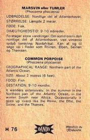 1969 Dandy Gum H Wild Animals (A) (Danish/English) #76 Common purpoise Back