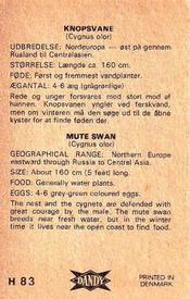1969 Dandy Gum H Wild Animals (A) (Danish/English) #83 Mute swan Back