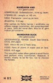 1969 Dandy Gum H Wild Animals (A) (Danish/English) #85 Mandarin duck Back