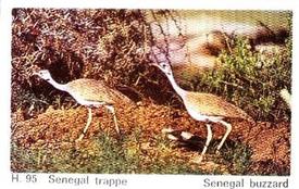 1969 Dandy Gum H Wild Animals (A) (Danish/English) #95 Senegal buzzard Front