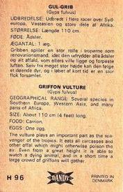1969 Dandy Gum H Wild Animals (A) (Danish/English) #96 Griffon vulture Back