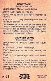 1969 Dandy Gum H Wild Animals (A) (Danish/English) #98 Crowned crane Back