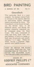 1938 Godfrey Phillips Bird Painting #3 Greenfinch Back