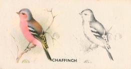 1938 Godfrey Phillips Bird Painting #5 Chaffinch Front