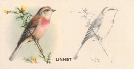 1938 Godfrey Phillips Bird Painting #7 Linnet Front