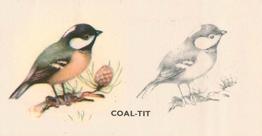 1938 Godfrey Phillips Bird Painting #15 Coal-Tit Front