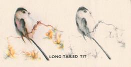 1938 Godfrey Phillips Bird Painting #17 Long-Tailed Tit Front