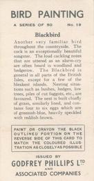 1938 Godfrey Phillips Bird Painting #19 Blackbird Back