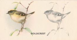 1938 Godfrey Phillips Bird Painting #26 Goldcrest Front