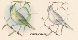 1938 Godfrey Phillips Bird Painting #27 Chiff-Chaff Front