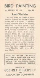1938 Godfrey Phillips Bird Painting #28 Reed-Warbler Back