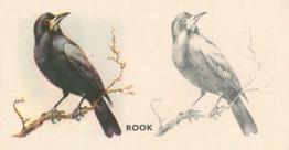 1938 Godfrey Phillips Bird Painting #32 Rook Front