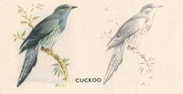 1938 Godfrey Phillips Bird Painting #35 Cuckoo Front