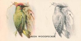 1938 Godfrey Phillips Bird Painting #36 Green Woodpecker Front