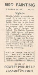1938 Godfrey Phillips Bird Painting #37 Nightjar Back