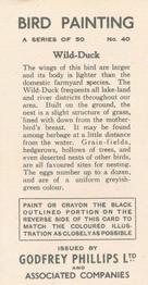 1938 Godfrey Phillips Bird Painting #40 Wild Duck Back
