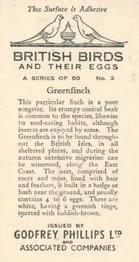 1936 Godfrey Phillips British Birds and Their Eggs #3 Greenfinch Back