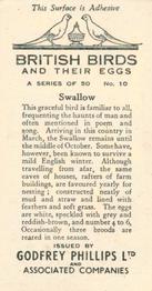 1936 Godfrey Phillips British Birds and Their Eggs #10 Swallow Back