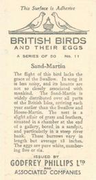 1936 Godfrey Phillips British Birds and Their Eggs #11 Sand-Martin Back