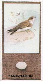 1936 Godfrey Phillips British Birds and Their Eggs #11 Sand-Martin Front